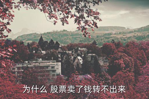 為什么 股票賣了錢轉(zhuǎn)不出來(lái)