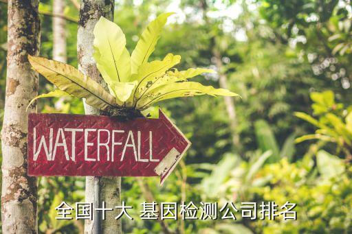 中國基因技術