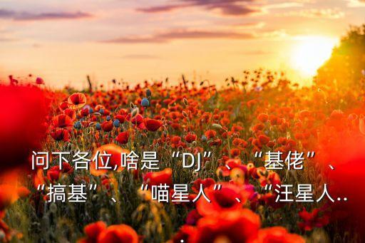 問下各位,啥是“DJ”、“基佬”、“搞基”、“喵星人”、“汪星人...