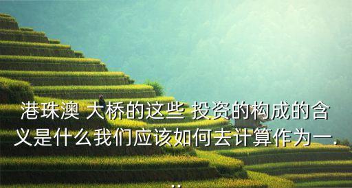 港珠澳 大橋的這些 投資的構(gòu)成的含義是什么我們應(yīng)該如何去計算作為一...