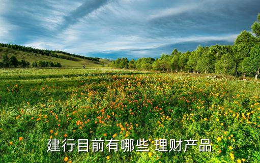 建設(shè)銀行理財產(chǎn)品列表2015年
