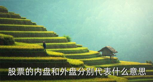  股票的內(nèi)盤(pán)和外盤(pán)分別代表什么意思
