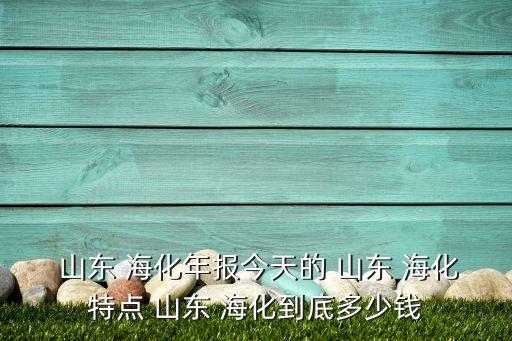 山東?；煞萦邢薰句逅貜S,海王溴素集團(tuán)股份有限公司