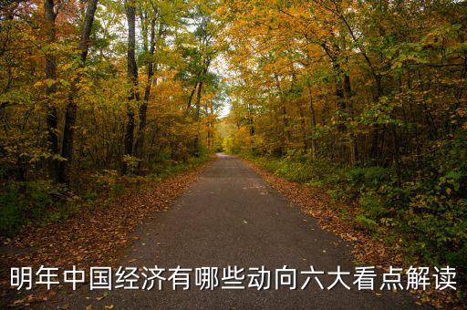 明年中國經(jīng)濟(jì)有哪些動向六大看點(diǎn)解讀