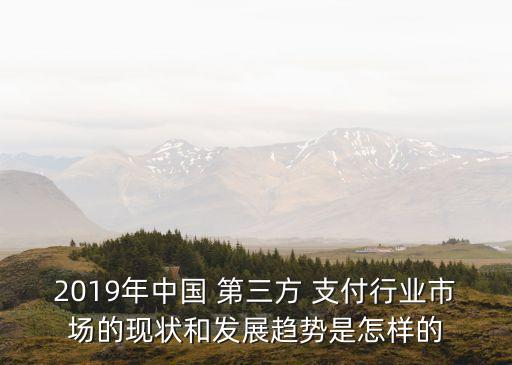 2019年中國(guó) 第三方 支付行業(yè)市場(chǎng)的現(xiàn)狀和發(fā)展趨勢(shì)是怎樣的