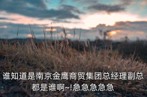 誰知道是南京金鷹商貿集團總經理副總都是誰啊~!急急急急急