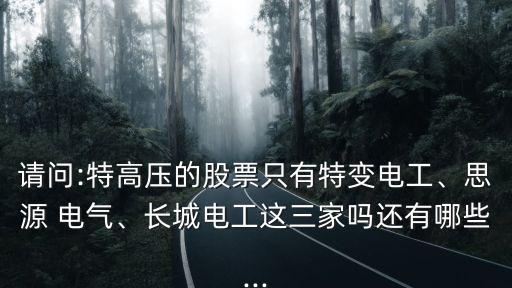請(qǐng)問:特高壓的股票只有特變電工、思源 電氣、長城電工這三家嗎還有哪些...