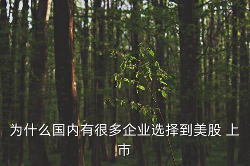 為什么國內有很多企業(yè)選擇到美股 上市