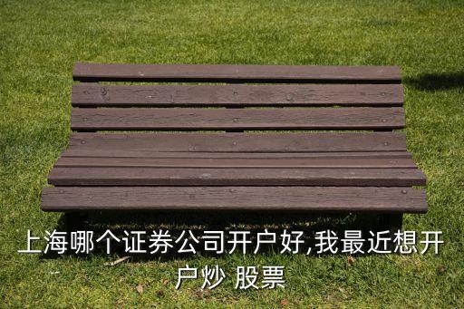 上海哪個(gè)證券公司開(kāi)戶好,我最近想開(kāi)戶炒 股票