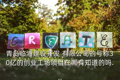 青島臨港建設(shè)開發(fā) 有限公司的號稱30億的創(chuàng)業(yè)工場項(xiàng)目在哪有知道的嗎...
