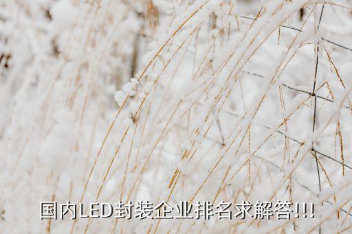 國(guó)內(nèi)LED封裝企業(yè)排名求解答!!!