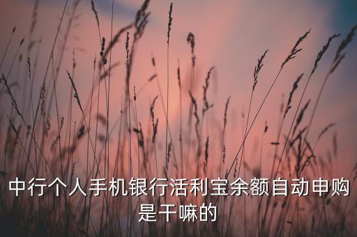 中行個人手機(jī)銀行活利寶余額自動申購是干嘛的