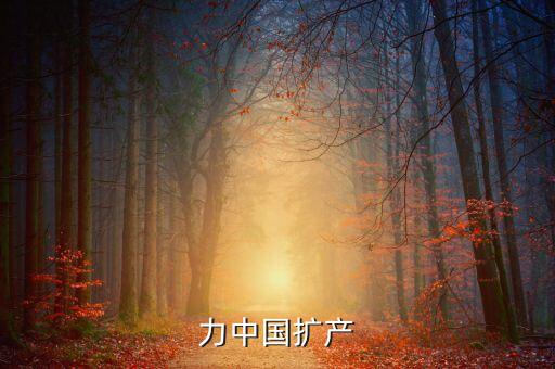 倍耐力中國擴產(chǎn)