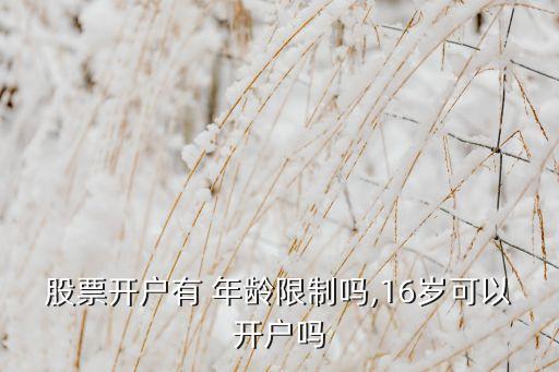 股票開(kāi)戶有 年齡限制嗎,16歲可以開(kāi)戶嗎