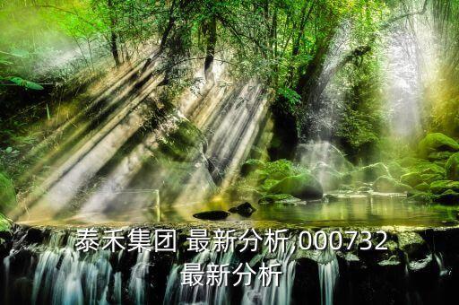  泰禾集團 最新分析,000732 最新分析