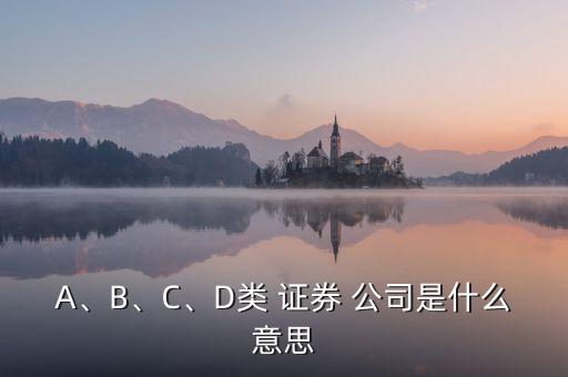 A、B、C、D類 證券 公司是什么意思