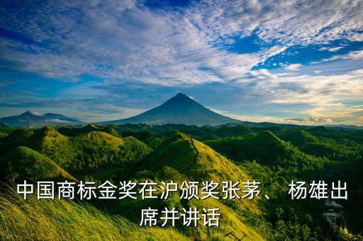 中國商標(biāo)金獎(jiǎng)在滬頒獎(jiǎng)張茅、 楊雄出席并講話