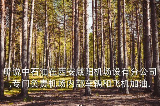 聽說(shuō)中石油在西安咸陽(yáng)機(jī)場(chǎng)設(shè)有分公司,專門負(fù)責(zé)機(jī)場(chǎng)內(nèi)部車輛和飛機(jī)加油...