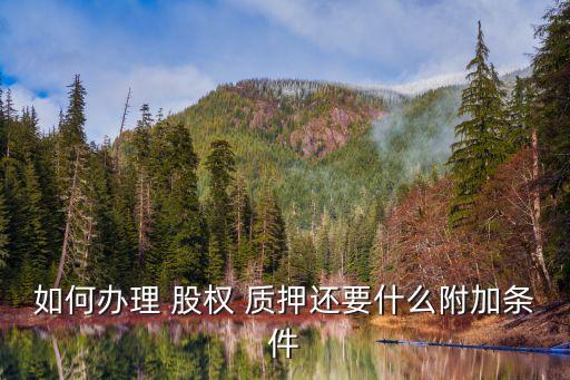 如何辦理 股權 質(zhì)押還要什么附加條件