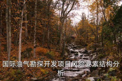 國際油氣勘探開發(fā)項目風險要素結(jié)構(gòu)分析