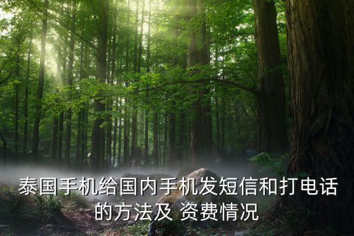  泰國手機(jī)給國內(nèi)手機(jī)發(fā)短信和打電話的方法及 資費情況
