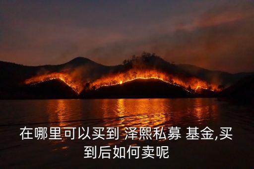 在哪里可以買(mǎi)到 澤熙私募 基金,買(mǎi)到后如何賣(mài)呢