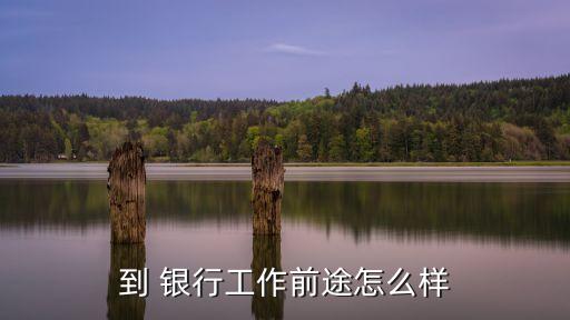 銀行就業(yè)網,哪個銀行就業(yè)最好