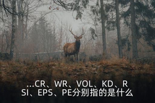 ...CR、WR、VOL、KD、RSI、EPS、PE分別指的是什么
