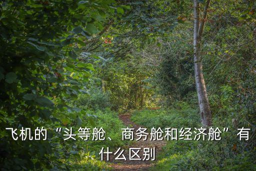 飛機(jī)的“頭等艙、商務(wù)艙和經(jīng)濟(jì)艙”有什么區(qū)別
