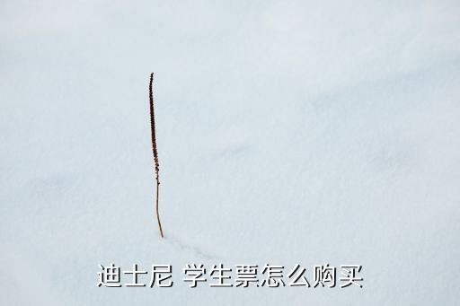 上海迪斯尼門(mén)票學(xué)生價(jià),香港迪斯尼門(mén)票是一價(jià)全含嗎
