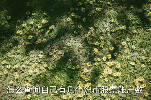 開放式基金登記結(jié)算業(yè)務指南,債券登記結(jié)算業(yè)務指南