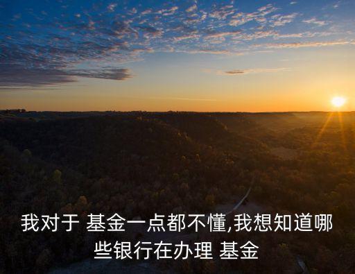 我對(duì)于 基金一點(diǎn)都不懂,我想知道哪些銀行在辦理 基金
