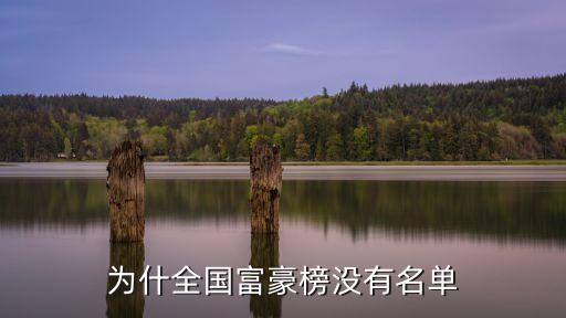 為什全國富豪榜沒有名單