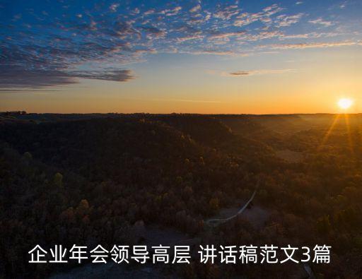 企業(yè)年會領(lǐng)導高層 講話稿范文3篇