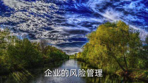 企業(yè)的風(fēng)險管理