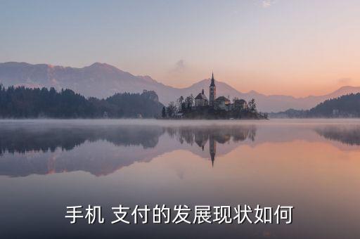 手機(jī) 支付的發(fā)展現(xiàn)狀如何