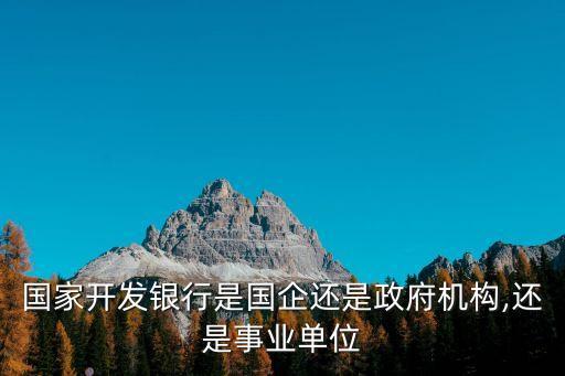 國(guó)家開(kāi)發(fā)銀行是國(guó)企還是政府機(jī)構(gòu),還是事業(yè)單位