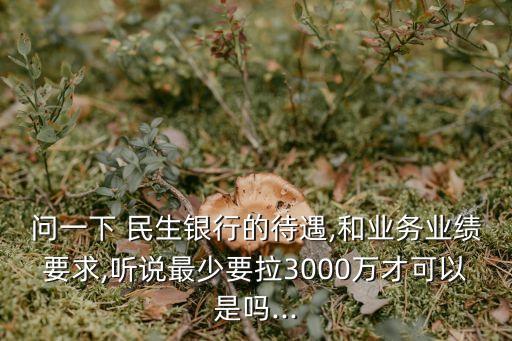 問一下 民生銀行的待遇,和業(yè)務(wù)業(yè)績(jī)要求,聽說(shuō)最少要拉3000萬(wàn)才可以是嗎...