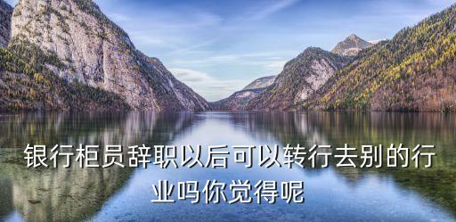  銀行柜員辭職以后可以轉行去別的行業(yè)嗎你覺得呢