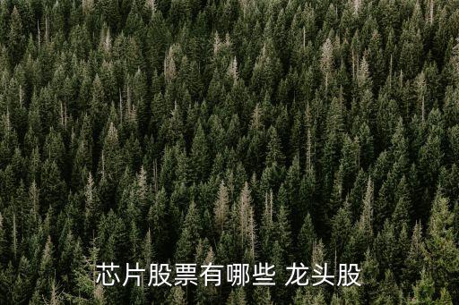 上?？苿?chuàng)中心概念龍頭股,力合科創(chuàng)算力概念龍頭股