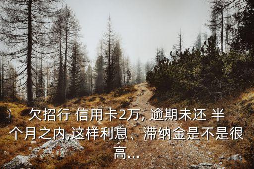 欠招行 信用卡2萬, 逾期未還 半個月之內(nèi),這樣利息、滯納金是不是很高...