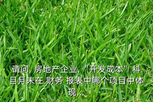 請問, 房地產(chǎn)企業(yè),“開發(fā)成本”科目月末在 財(cái)務(wù) 報(bào)表中哪個項(xiàng)目中體現(xiàn)...