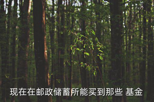 現(xiàn)在在郵政儲(chǔ)蓄所能買(mǎi)到那些 基金
