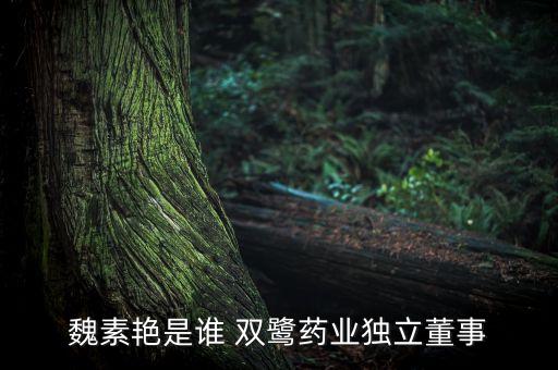 魏素艷是誰 雙鷺?biāo)帢I(yè)獨立董事