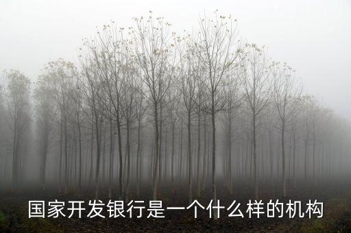 國(guó)家開(kāi)發(fā)銀行是一個(gè)什么樣的機(jī)構(gòu)