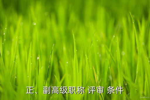 正、副高級職稱 評審 條件