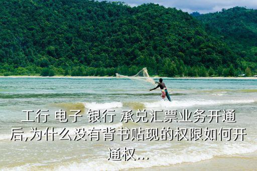 工行 電子 銀行 承兌匯票業(yè)務(wù)開通后,為什么沒有背書貼現(xiàn)的權(quán)限如何開通權(quán)...