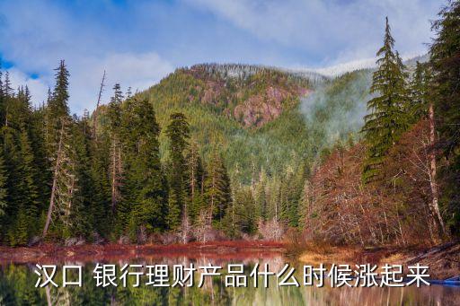  漢口 銀行理財產(chǎn)品什么時候漲起來