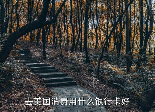 去美國(guó)消費(fèi)用什么銀行卡好