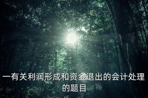 一有關利潤形成和資金退出的會計處理的題目
